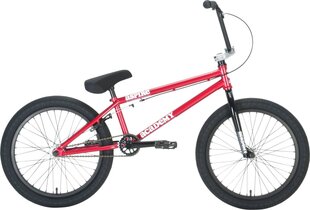 Велосипед Academy Aspire 20 "2021 BMX для фристайла, темно-красный цена и информация | Велосипеды | kaup24.ee