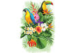 Puidust pusle Troopilised linnud, 300 osa hind ja info | Pusled | kaup24.ee