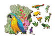 Puidust pusle Troopilised linnud, 300 osa hind ja info | Pusled | kaup24.ee