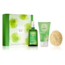 Weleda kinkekomplekt Happy Skin hind ja info | Kehakreemid, kehaspreid | kaup24.ee