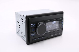 Blaupunkt Palma 200 DAB BT hind ja info | BLAUPUNKT Autokaubad | kaup24.ee