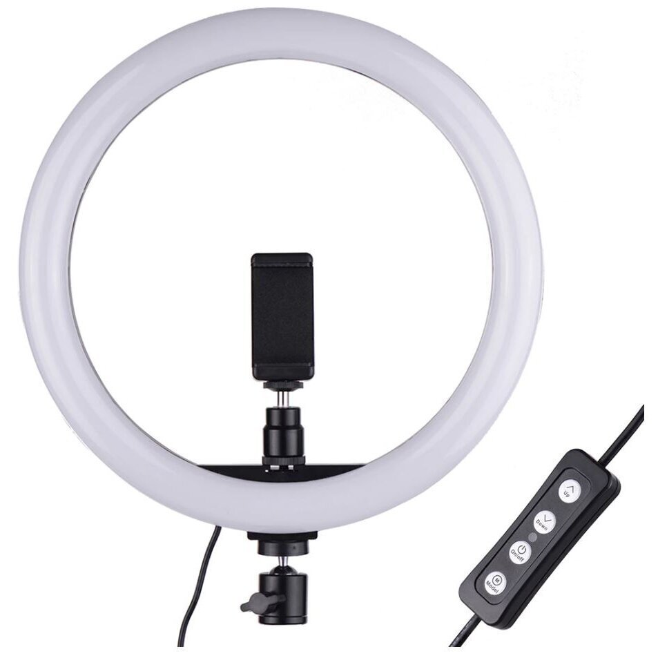 LED rõngasvalgusti kontrolleriga, 24 cm hind ja info | Fotovalgustuse seadmed | kaup24.ee