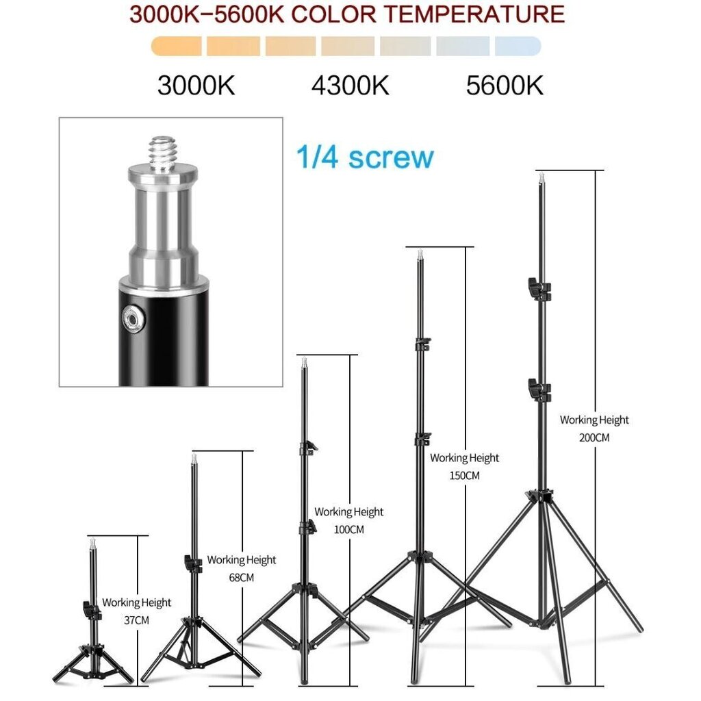 LED rõngaslamp koos alusega, 26 cm hind ja info | Fotovalgustuse seadmed | kaup24.ee