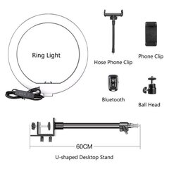 LED rõngaslamp hoidikuga, 26 cm hind ja info | Fotovalgustuse seadmed | kaup24.ee