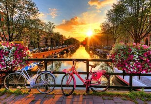 Puidust pusle Amsterdami jalgrattad, 300 tk hind ja info | Lauamängud ja mõistatused | kaup24.ee