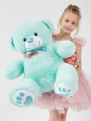 Плюшевый медведь "Рафаэль" 110 см Тиффани цена и информация | Мягкие игрушки | kaup24.ee
