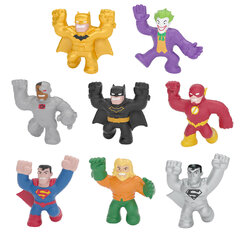 Minifiguuride komplekt Heroes Of Goo Jit Zu DC, 8 tk. hind ja info | Poiste mänguasjad | kaup24.ee