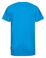 Детская футболка Icepeak Millville 51733-9*935, синяя 6438513945084 цена и информация | Рубашки для мальчиков | kaup24.ee