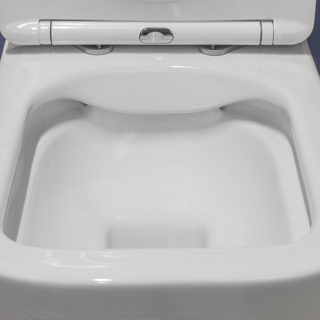 WC komplekt: peidetud raam Geberit Duofix Basic, seinapealne wc-pott Tinos ja nupp Delta hind ja info | WС-potid | kaup24.ee