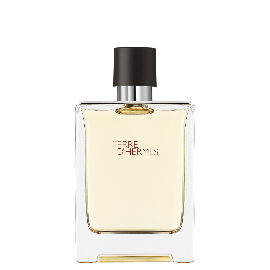 Hermes Terre D´Hermes Gift Set EDT 100 ml, After Shave Terre D´Hermes 40 ml and miniature Terre D´Hermes EDT 12,5 ml 100ml hind ja info | Meeste parfüümid | kaup24.ee