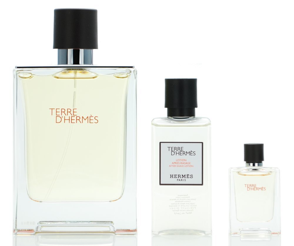 Hermes Terre D´Hermes Gift Set EDT 100 ml, After Shave Terre D´Hermes 40 ml and miniature Terre D´Hermes EDT 12,5 ml 100ml цена и информация | Meeste parfüümid | kaup24.ee