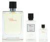 Hermes Terre D´Hermes Gift Set EDT 100 ml, After Shave Terre D´Hermes 40 ml and miniature Terre D´Hermes EDT 12,5 ml 100ml hind ja info | Meeste parfüümid | kaup24.ee