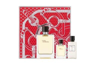 Туалетная вода Hermes Terre D´Hermes EDT 100 мл + бальзам после бритья Terre D´Hermes 40 мл + миниатюра Terre D´Hermes EDT 12,5 мл цена и информация | Мужские духи | kaup24.ee