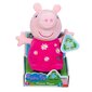 Plüüsist mänguasi Põrsas Peppa (Peppa Pig), 20 cm цена и информация | Pehmed mänguasjad | kaup24.ee
