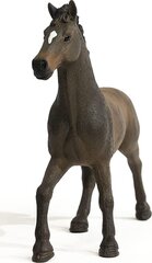 Фигурка лошади Schleich 465223, темно-коричневый цвет цена и информация | MUST Металлическая бутылочка с Ярким рисунком (без BPA) (500ml) для мальчиков от 3+ лет Серая с Машинкой | kaup24.ee