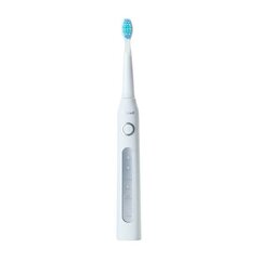 FairyWill Sonic toothbrush with head set 507 (White) цена и информация | Электрические зубные щетки | kaup24.ee