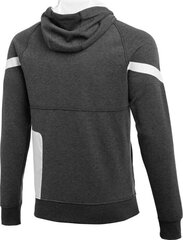 Nike свитер мужской, серый цена и информация | Мужская спортивная одежда | kaup24.ee