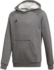 Poiste dressipluus Adidas Core18 Y Hoody Junior, CV3429 hind ja info | Poiste kampsunid, vestid ja jakid | kaup24.ee