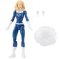 Marvel Legends Invisible Woman Retro Fantastic Four hind ja info | Fännitooted mänguritele | kaup24.ee