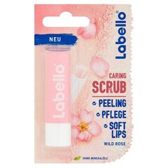 Huulekoorija Labello Wild Rose ( Caring Scrub ), 4,8 g hind ja info | Huulepulgad, -läiked, -palsamid, vaseliin | kaup24.ee