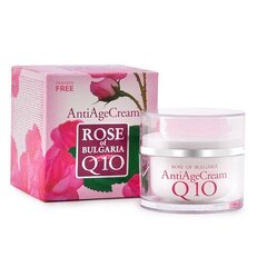 Vananemisvastane kreem BioFresh koensüümiga Q10 ja roosiveega Rose of Bulgari (Anti Age Cream), 50 ml hind ja info | Näokreemid | kaup24.ee