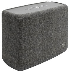 Audio Pro A15 Dark, серый цена и информация | Аудио колонки | kaup24.ee