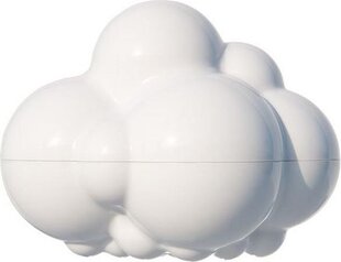 Дождевое облако Plui цена и информация | Игрушки для малышей | kaup24.ee