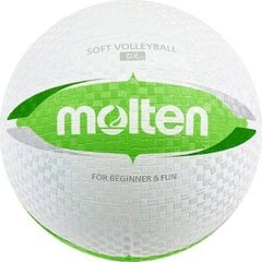 Волейбольный мяч Molten, белый/зелёный цена и информация | Molten Сетевой | kaup24.ee