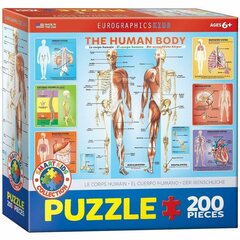 Пазл Eurographics, 6200-1000, The Human Body, 200 шт. цена и информация | Пазлы | kaup24.ee