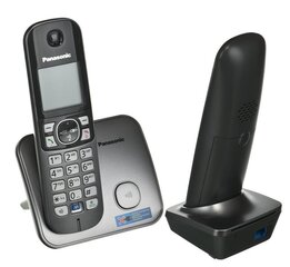 Panasonic KX-TG6812 PDM, серый цена и информация | Стационарные телефоны | kaup24.ee