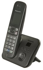 Panasonic KX-TG6821, серый цена и информация | Стационарные телефоны | kaup24.ee