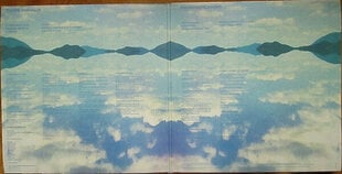 Tame Impala - Innerspeaker, 2LP, vinüülplaats, 12" vinyl record hind ja info | Vinüülplaadid, CD, DVD | kaup24.ee