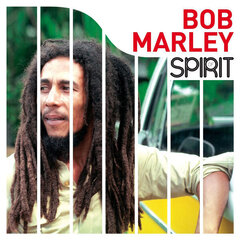 Bob Marley - Spirit Of Bob Marley, LP, vinüülplaat, 12" vinyl record hind ja info | Vinüülplaadid, CD, DVD | kaup24.ee