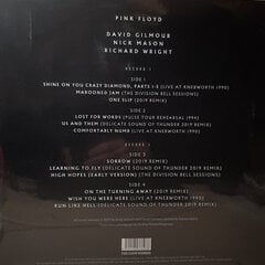 Pink Floyd - The Later Years 1987-2019, 2LP, vinüülplaats, 12" vinyl record цена и информация | Виниловые пластинки, CD, DVD | kaup24.ee