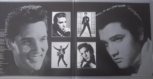 Виниловая пластинка Elvis Presley - The Platinum Collection, 3LP, 12" white vinyl record цена и информация | Виниловые пластинки, CD, DVD | kaup24.ee