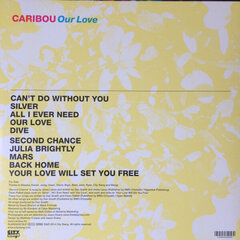 Виниловая пластинка Caribou - Our Love, LP, 12" vinyl record цена и информация | Виниловые пластинки, CD, DVD | kaup24.ee