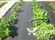 Umbrohuvastane agrokile 1,1x10 m, 70 g/m2, must hind ja info | Aiatööriistad | kaup24.ee