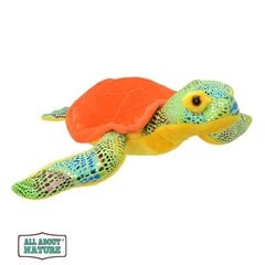 Wild Planet pehme mänguasi Merikilpkonn 30 cm цена и информация | Мягкие игрушки | kaup24.ee