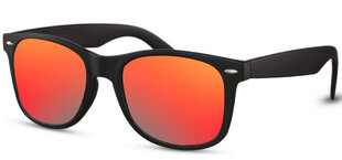 Солнцезащитные очки Label L2490 цена и информация | Солнцезащитные очки для мужчин | kaup24.ee
