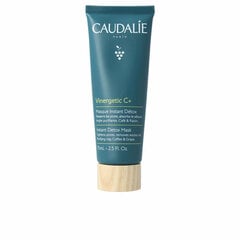 Detoksmask Vinergetic C+ Caudalie (75 ml) цена и информация | Маски для лица, патчи для глаз | kaup24.ee