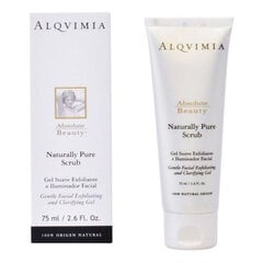 Отшелушивающий гель для лица Alqvimia Absolute Beauty (75 мл) цена и информация | Аппараты для ухода за лицом | kaup24.ee