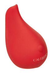 Вибратор CalExotics Red Hot Glow цена и информация | Вибраторы | kaup24.ee