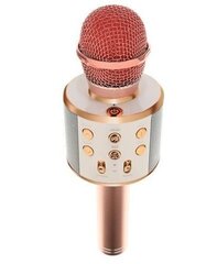 Karaoke mikrofon - kõlar, häält muutvate efektidega WS-858 цена и информация | Микрофоны | kaup24.ee