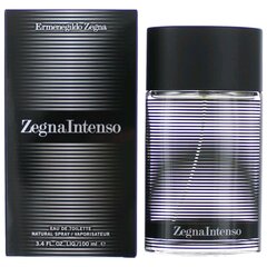 Tualettvesi Ermenegildo Zegna Intenso EDT meestele 50 ml hind ja info | Meeste parfüümid | kaup24.ee