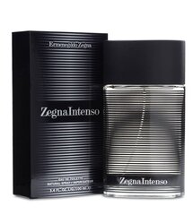 Tualettvesi Ermenegildo Zegna Intenso EDT meestele 100 ml hind ja info | Meeste parfüümid | kaup24.ee