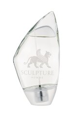 Nikos Sculpture EDT meestele 100 ml hind ja info | Meeste parfüümid | kaup24.ee
