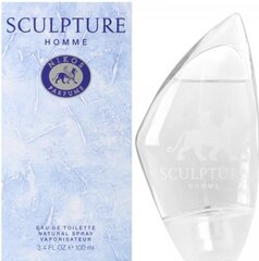 Nikos Sculpture EDT meestele 100 ml цена и информация | Мужские духи | kaup24.ee