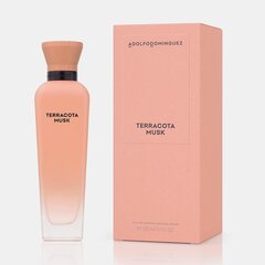 Naiste parfüüm Adolfo Dominguez Terracota Musk EDP (120 ml) цена и информация | Женские духи | kaup24.ee