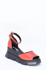 Naiste sandaalid Elche 29106324.40 hind ja info | Naiste sandaalid | kaup24.ee