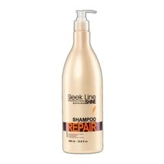 Taastav šampoon siidiekstraktiga Stapiz Sleek Line, 1000 ml цена и информация | Шампуни | kaup24.ee